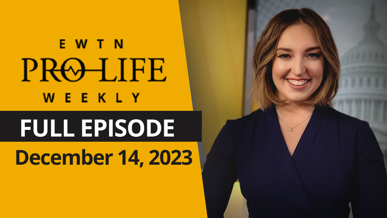  EWTN Pro-Life Weekly | FULL EPISODE – December, 14, 2023 